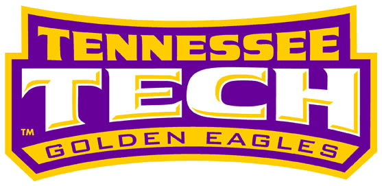 Tennessee Tech Golden Eagles 2006-Pres Wordmark Logo diy fabric transfers